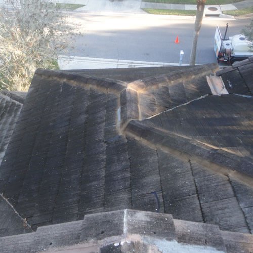 Pressure Wash Before 16 | Peter's Pressure Washing