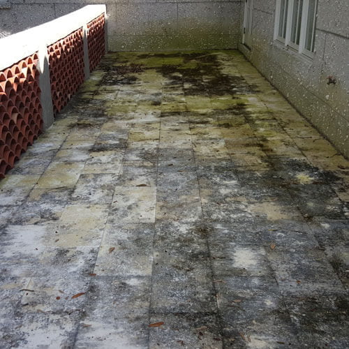 Pressure Wash Before 1 | Peter's Pressure Washing