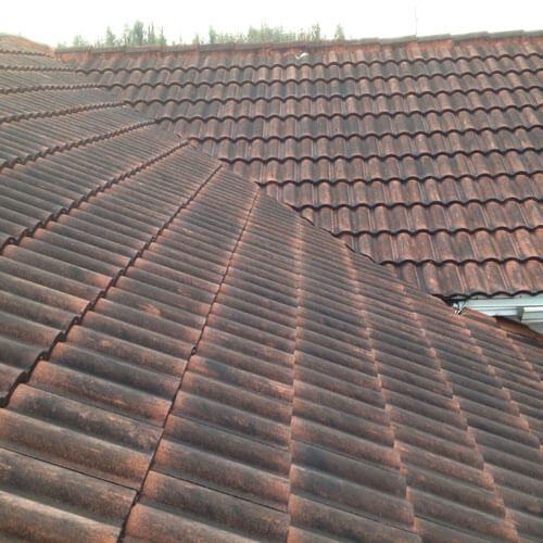 Black Algae on Roof | Pressure Wash Before 20 | Peter's Pressure Washing