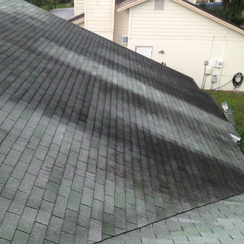 Pressure Wash Before 23 | Peter's Pressure Washing