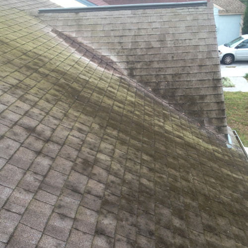 Before Roof Washing