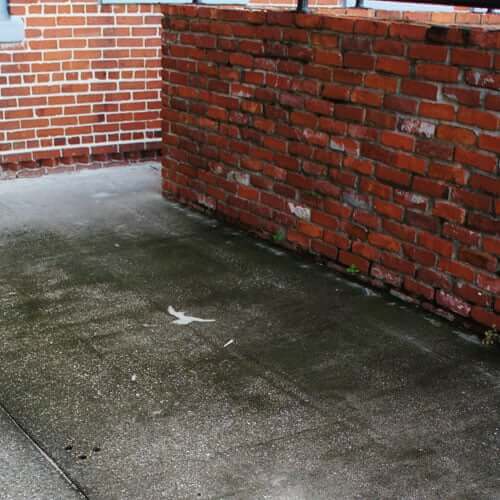 Pressure Wash Before 3 | Peter's Pressure Washing