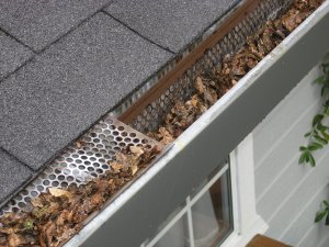 Gutter with debris and dry leaves