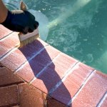 travertine sealing tampa fl