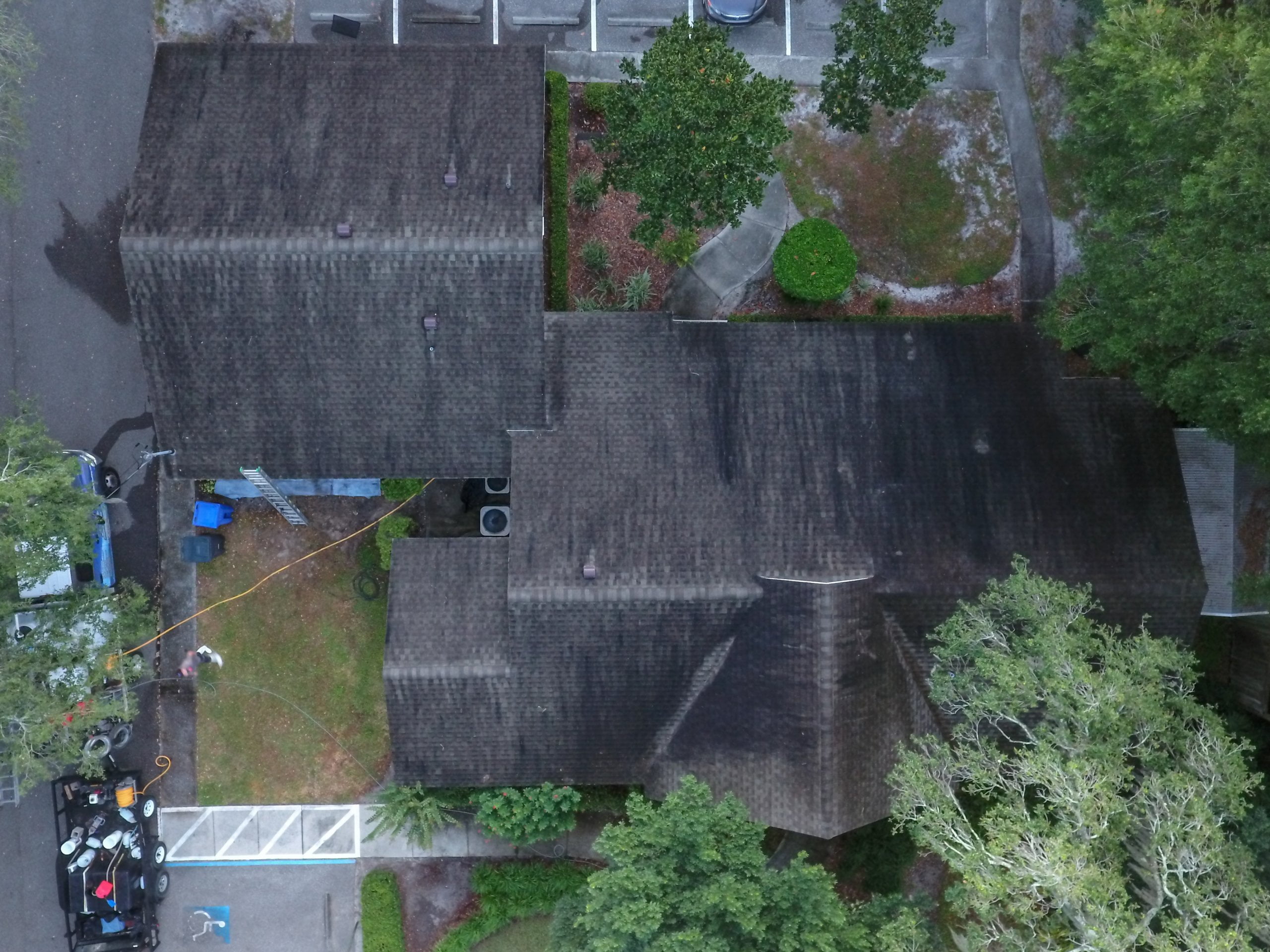 nonpressure roof cleaning tampa fl