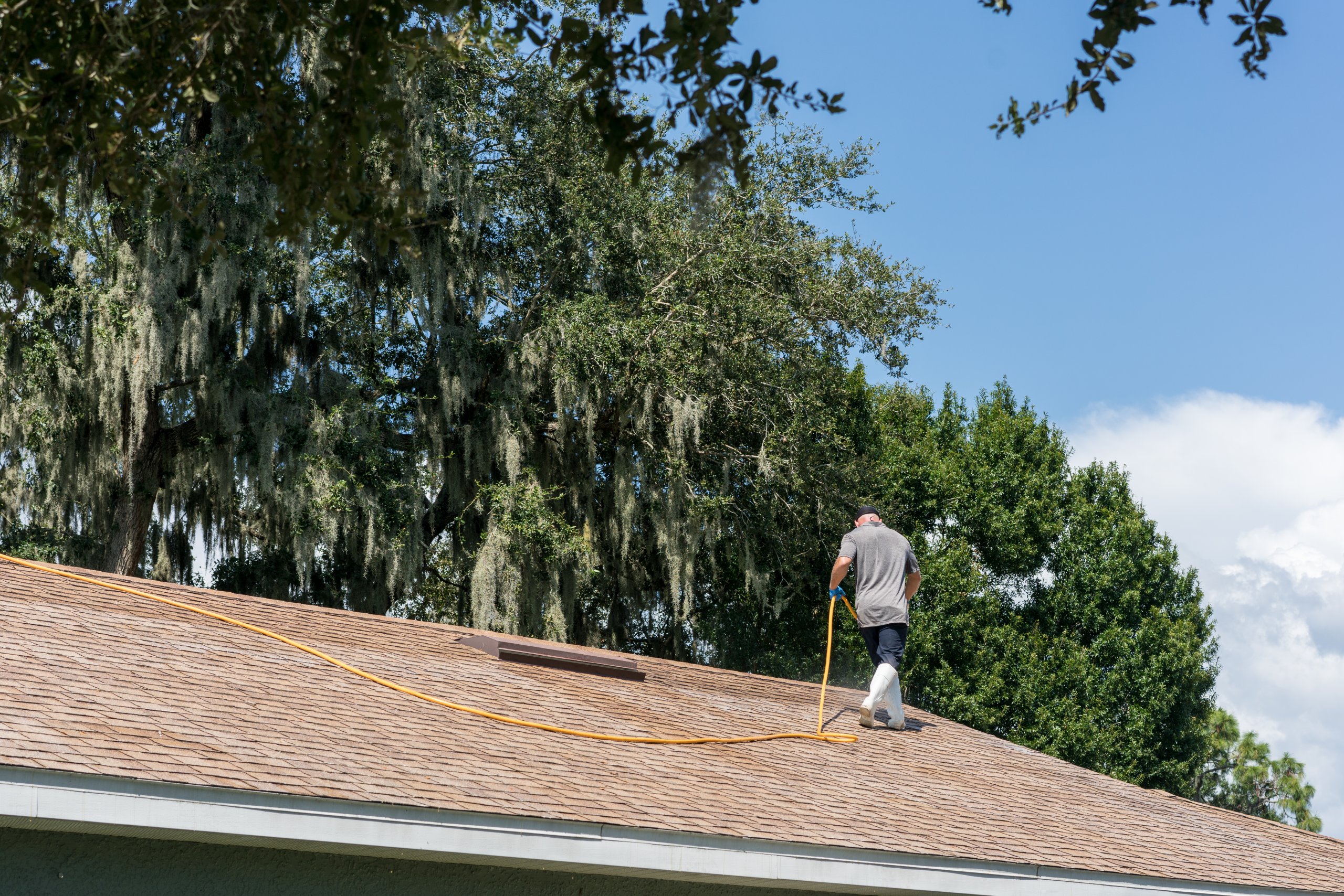 Useful And Important Tips For Roof Cleaning