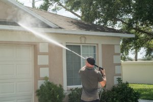 best roof cleaning services in tampa
