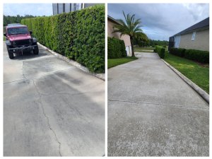 Before and after driveway cleaning in Tampa Florida