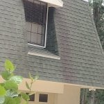 Before and after professional soft washing on a Tampa Bay area home exterior showing removal of black algae and mildew from siding and trim, this is typical with house washing tampa